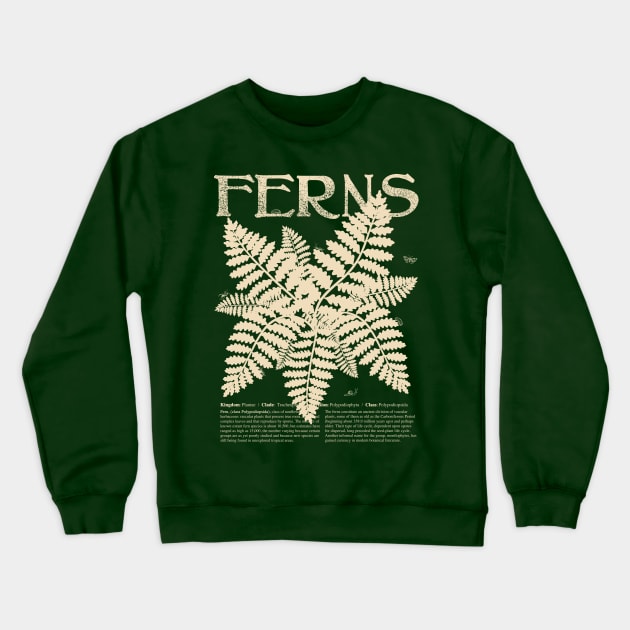 FERN Plant Shirt with Description and Cute Bugs Botany Shirt for Garden Lover Educational Gift Crewneck Sweatshirt by Plant Rad